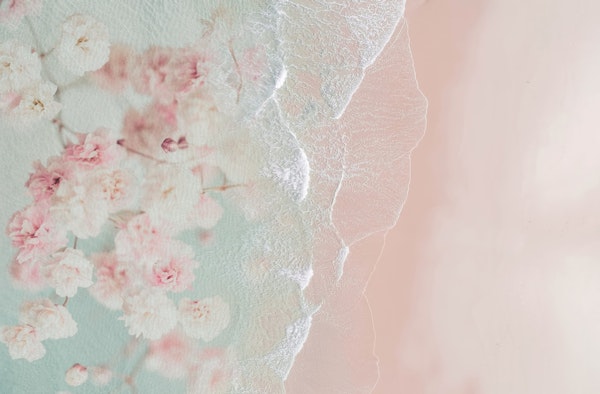 Ocean Flowers in Pink