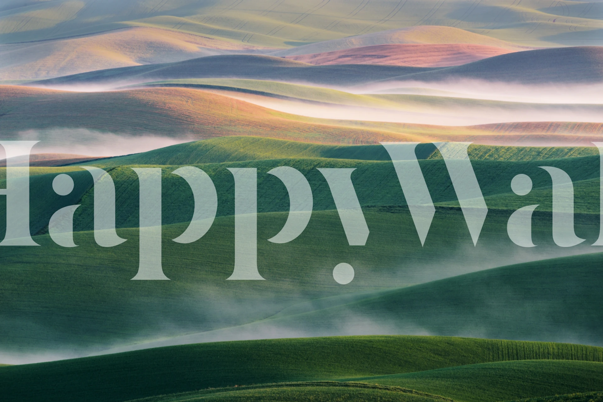 Bølgende åser med et mykt tåkedeksel ved soloppgang i «Foggy Morning»-tapet