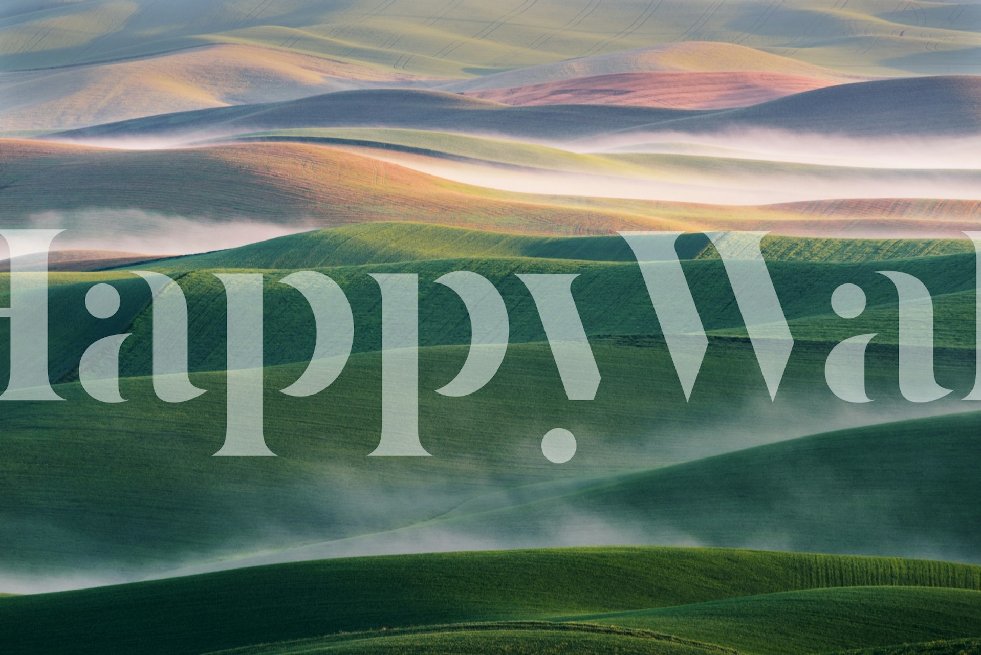 Böljande kullar med ett mjukt dimskydd vid soluppgången i Foggy Morning fototapet