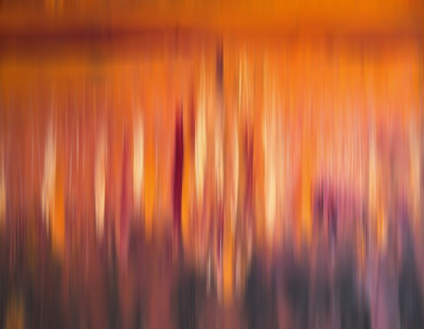 Bold and colorful abstract