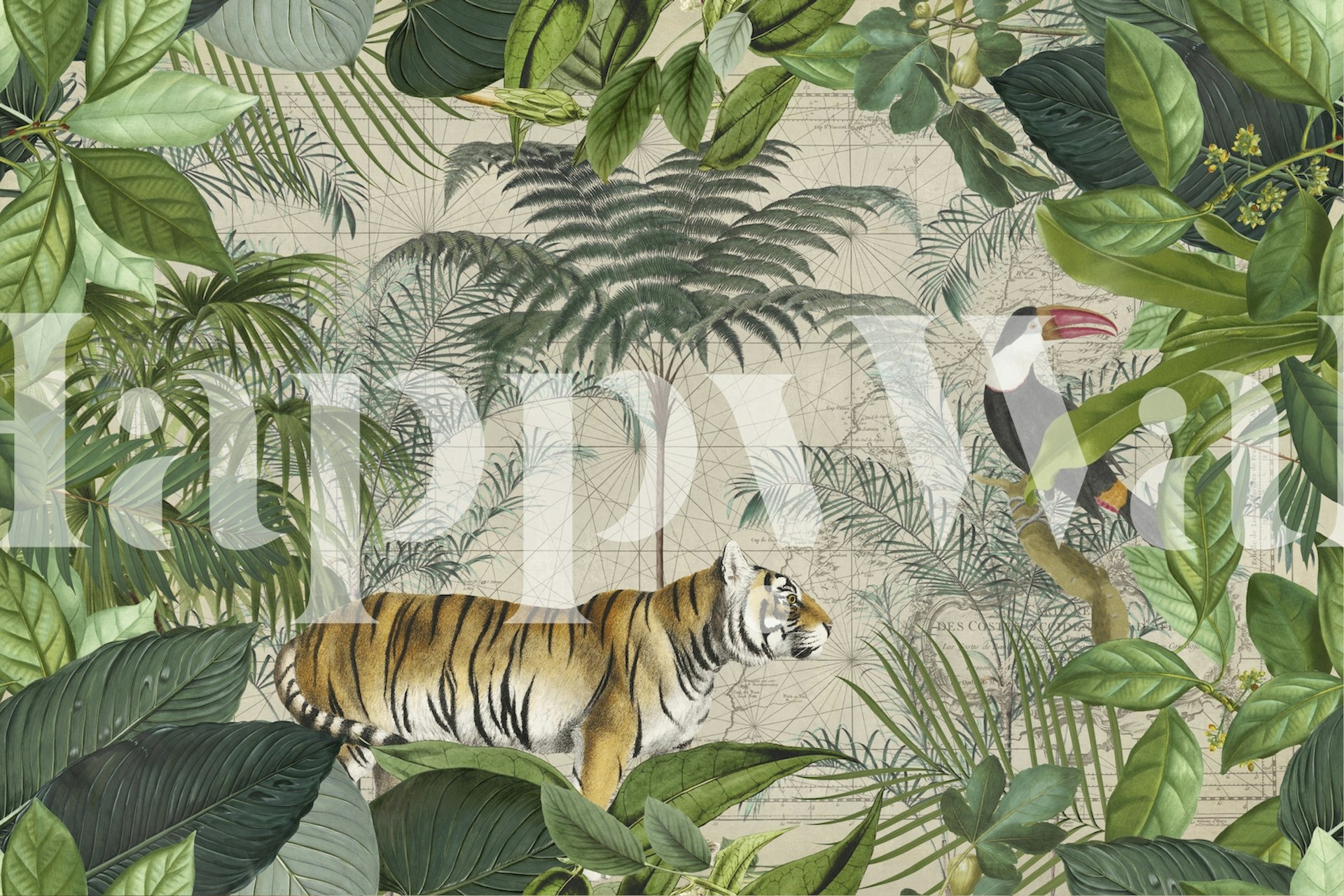 Tigers Exotic Paradise wallpaper in a room
