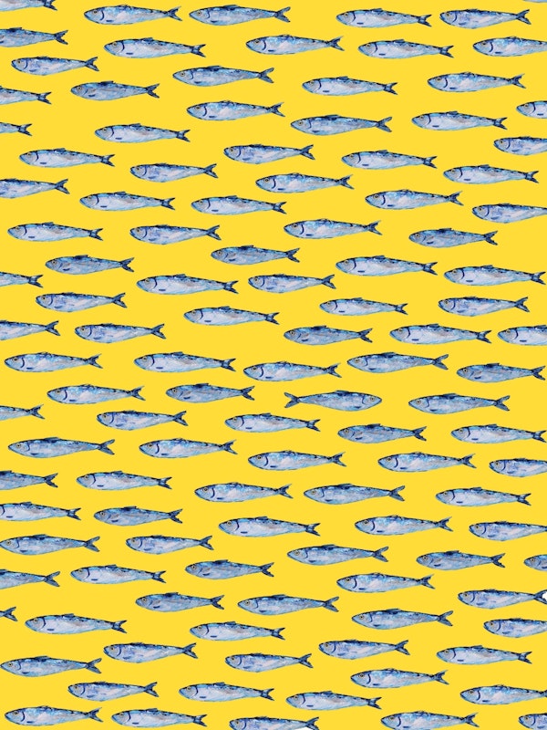 Shimmering Sardines Shoal on Yellow Orange