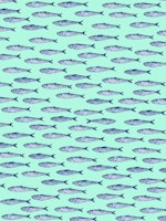 Shimmering Sardines on Light Turquoise wallpaper
