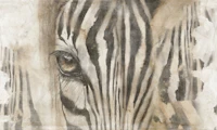 Wild Instinct - Black papiers peint