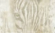 Wild Instinct - Ivory