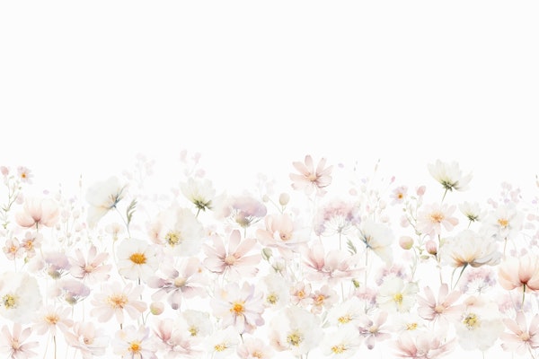 Summer Fresh Wildflower Meadow