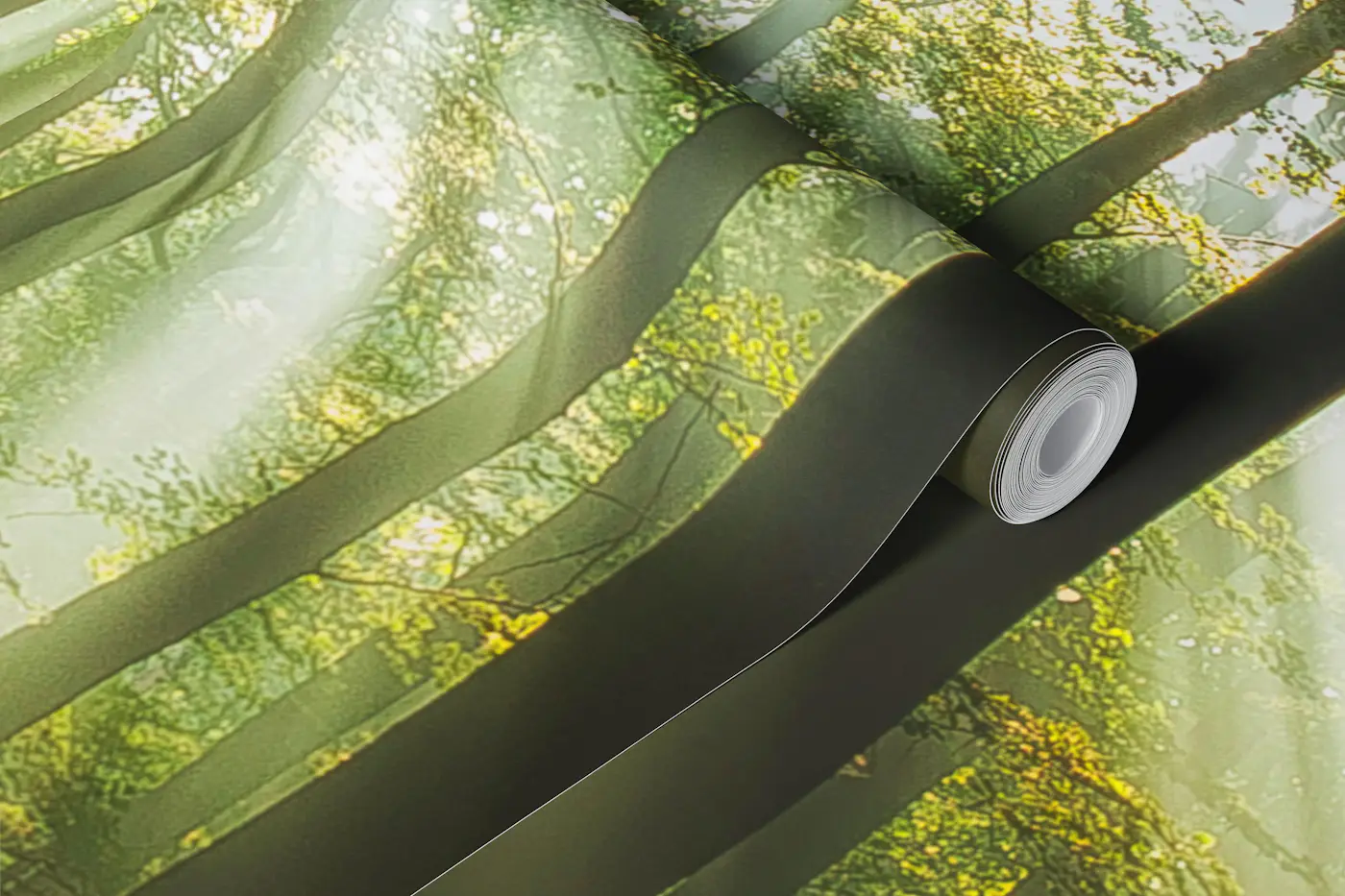 Sunny start to the day wallpaper roll