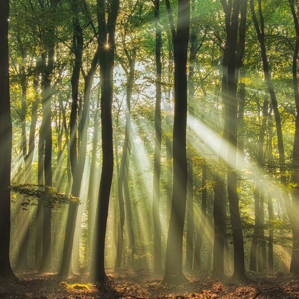 Sunny start to the day