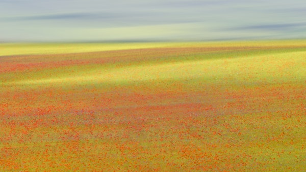 Castelluccio Colors