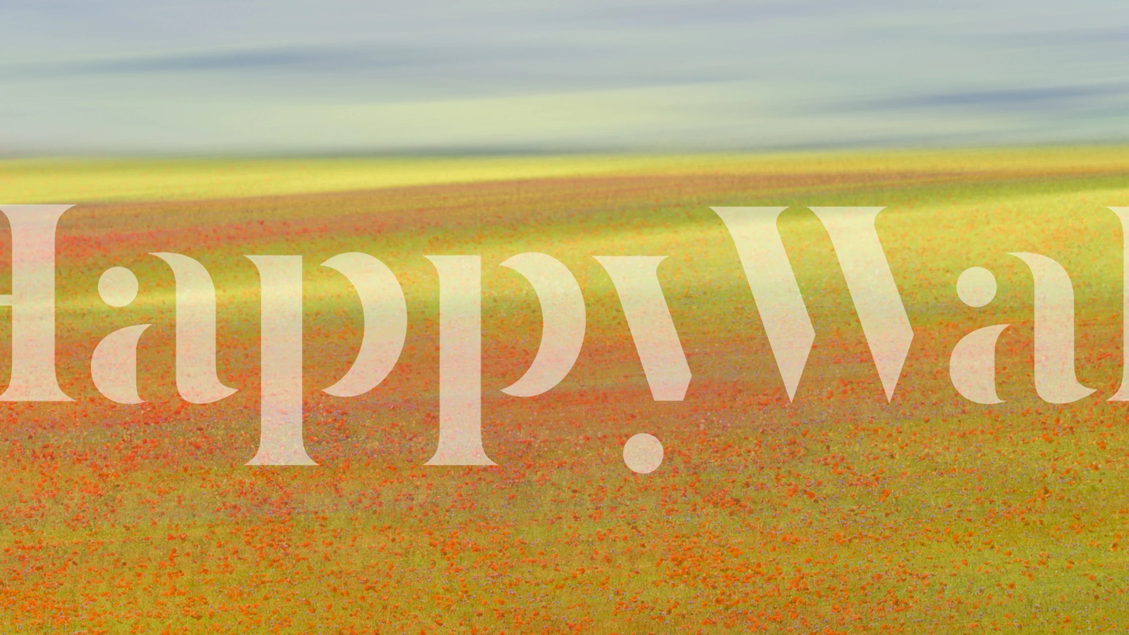 Colorful abstract floral pattern wallpaper in yellow, orange, and green shades.