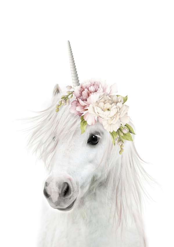 Peekaboo Unicorn Floral