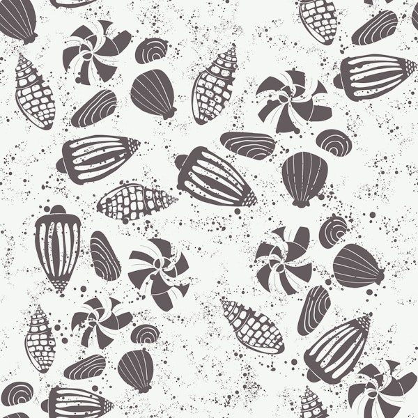 Black Shells Elegance