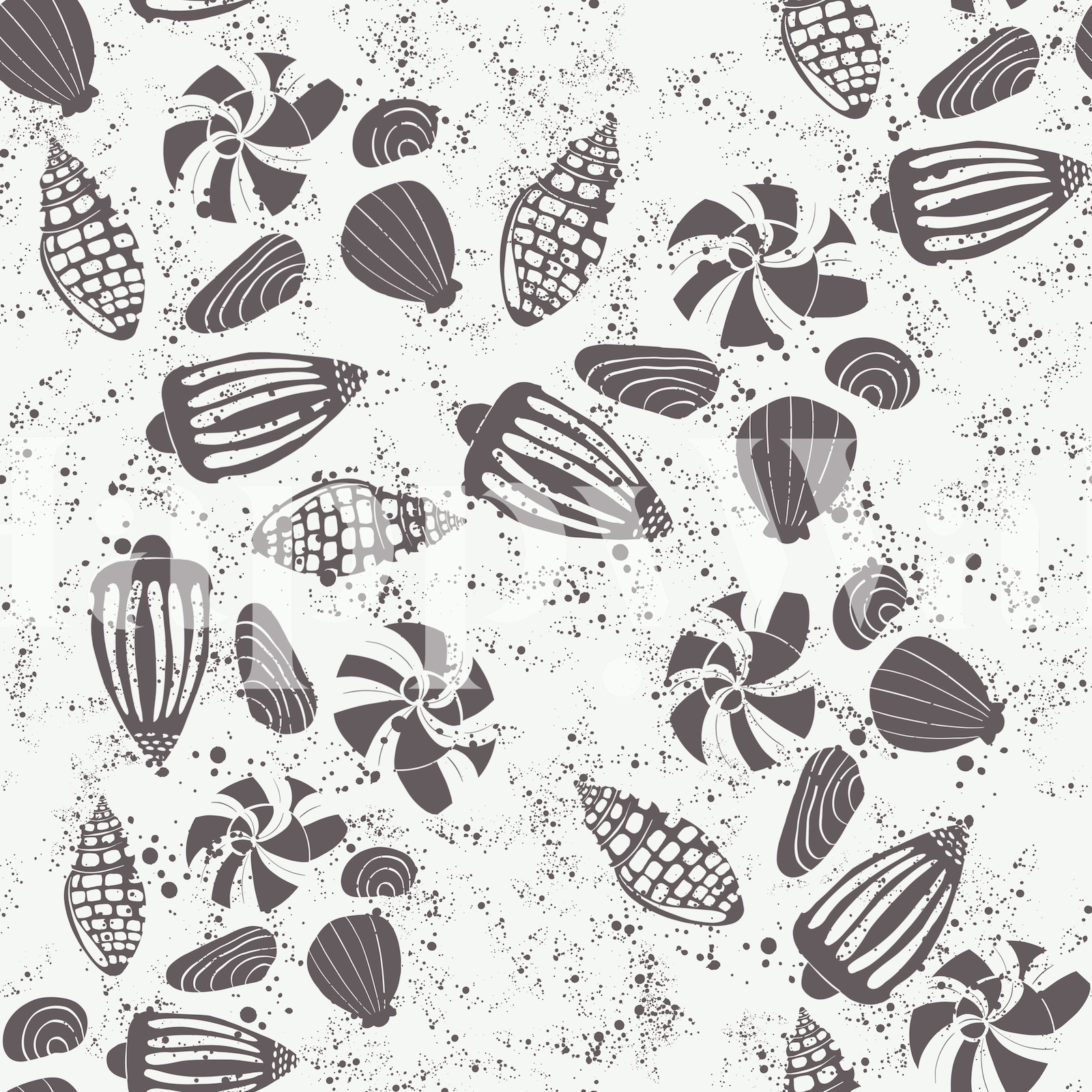 Black Shells Elegance wallpaper | Happywall