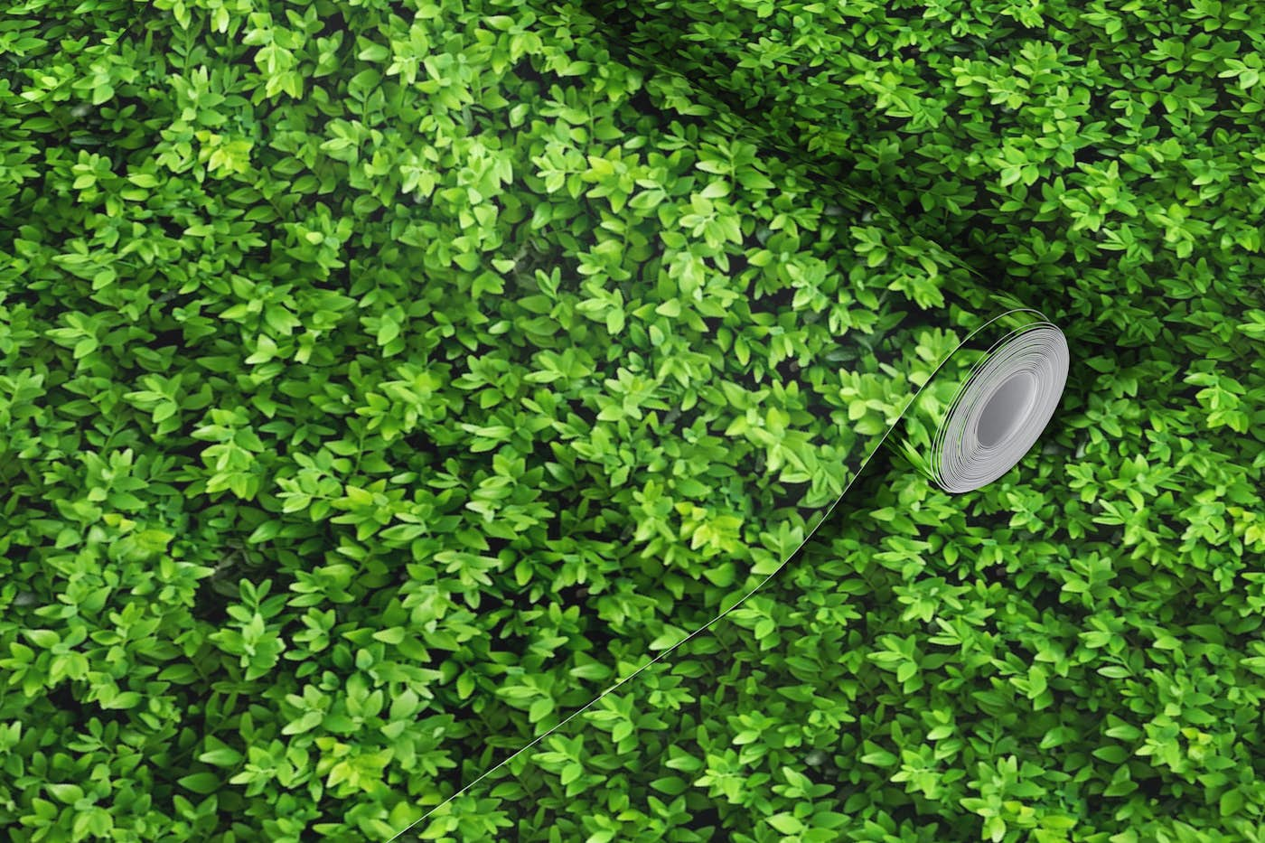 Green bush wallpaper roll