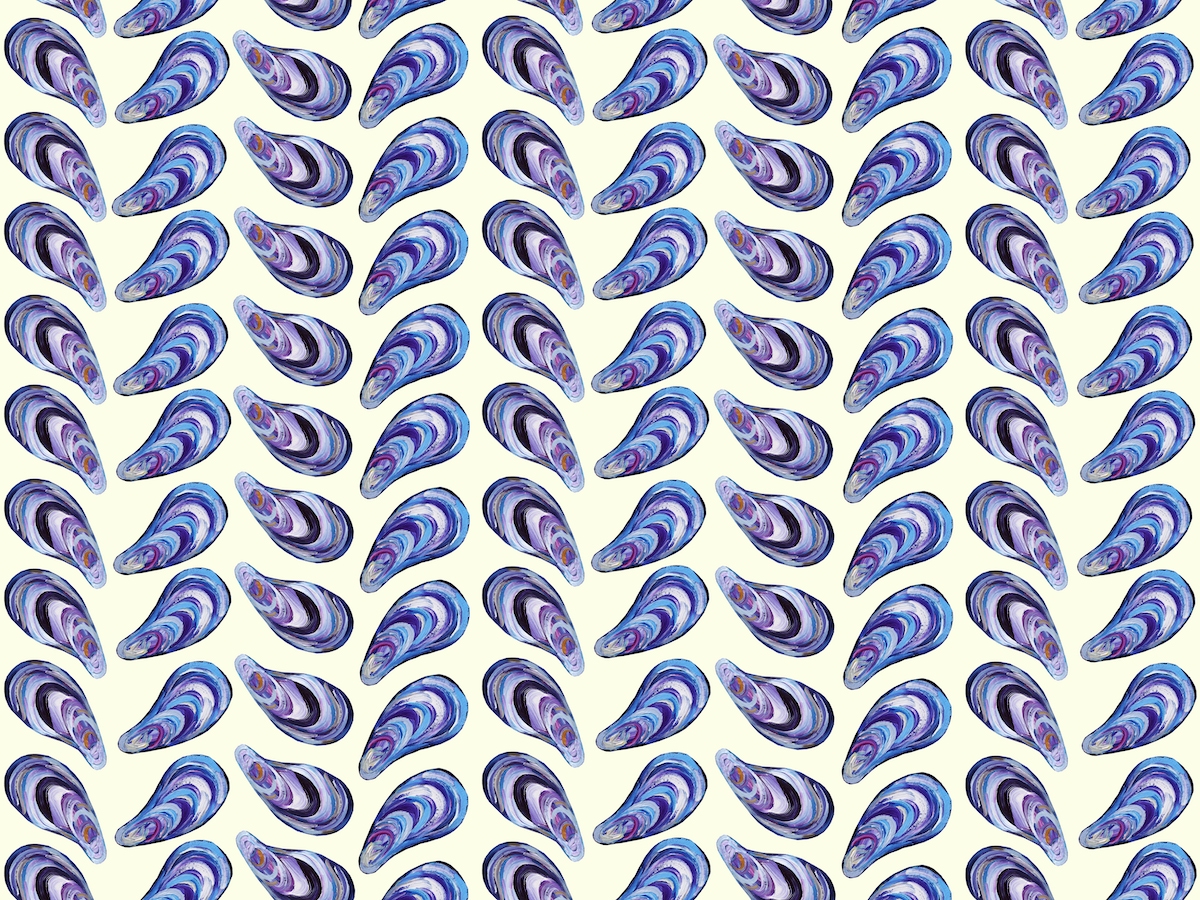 mollusk