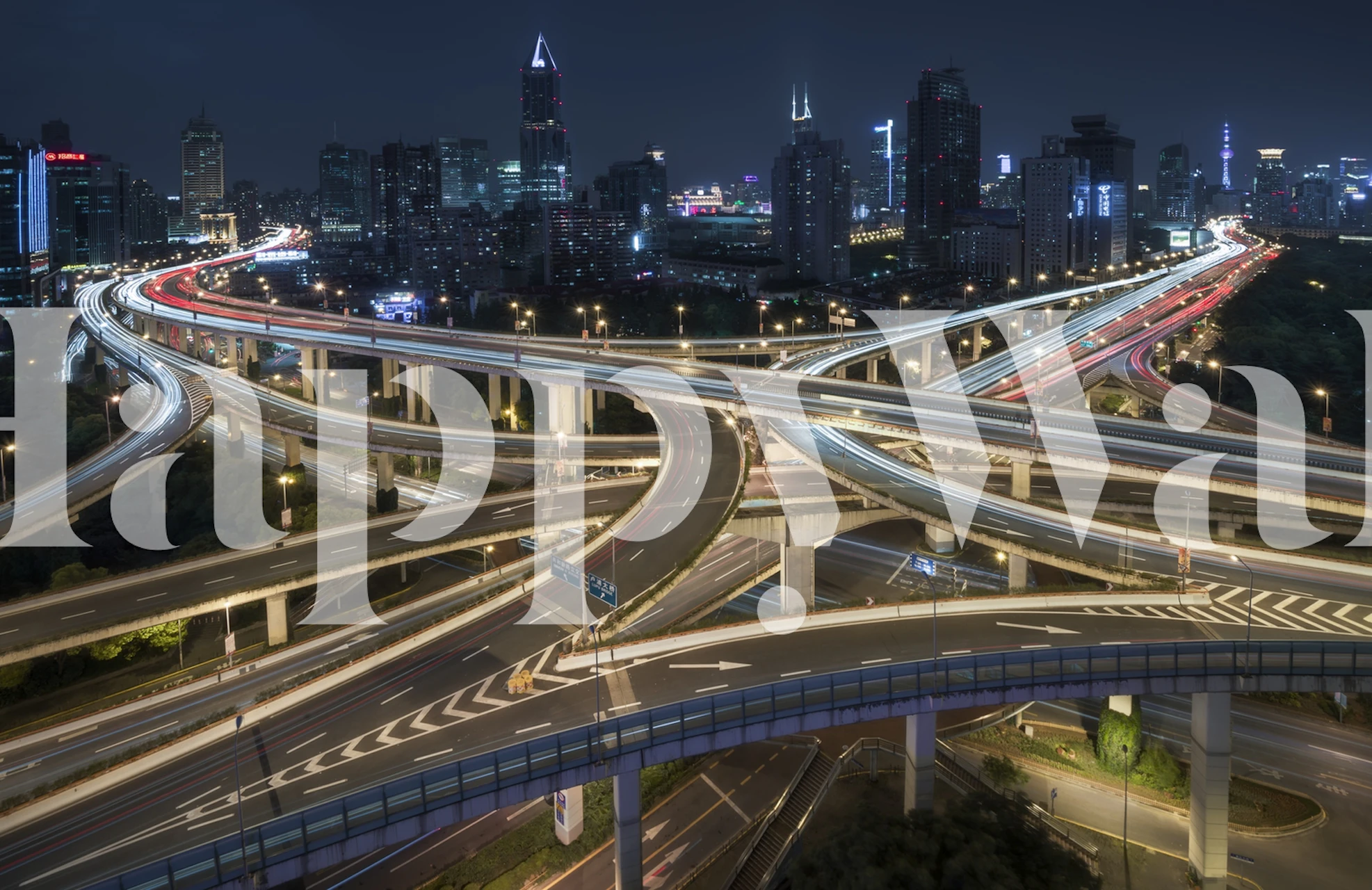 Nine Dragons wallpaper design in a room