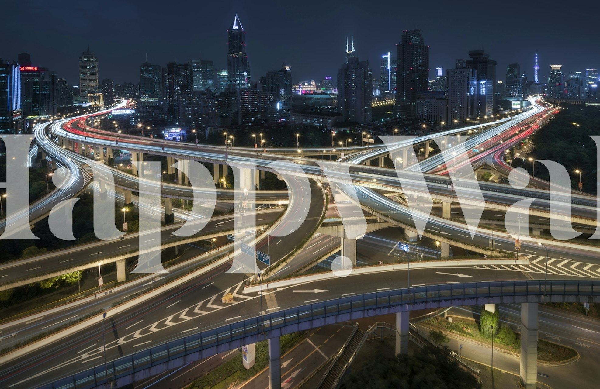 Nine Dragons wallpaper design in a room