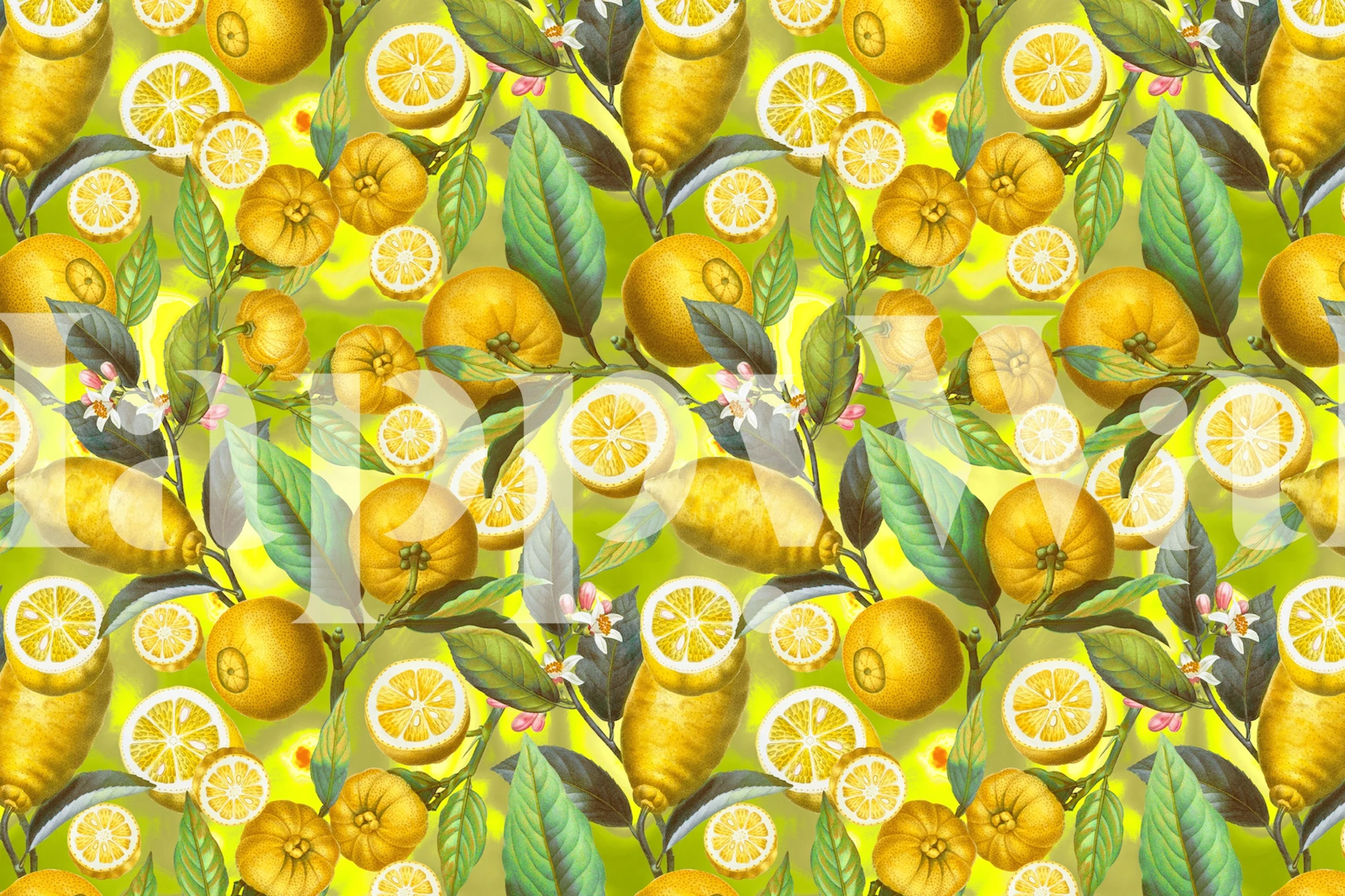 Cyber Lime Summer papier peint dans une pièce