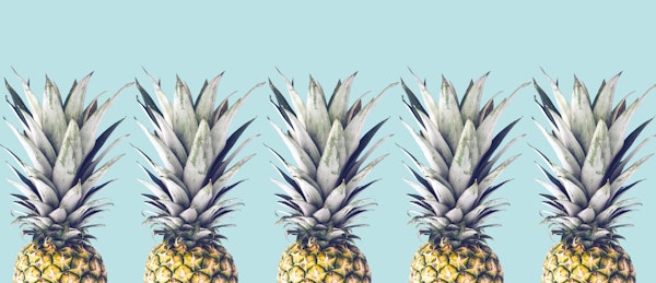 Pineapple art 1
