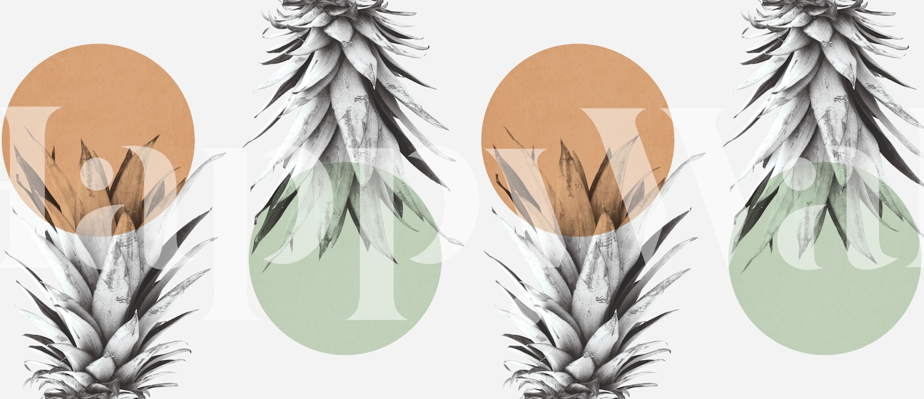 Stylized pineapples with color accents wall mural