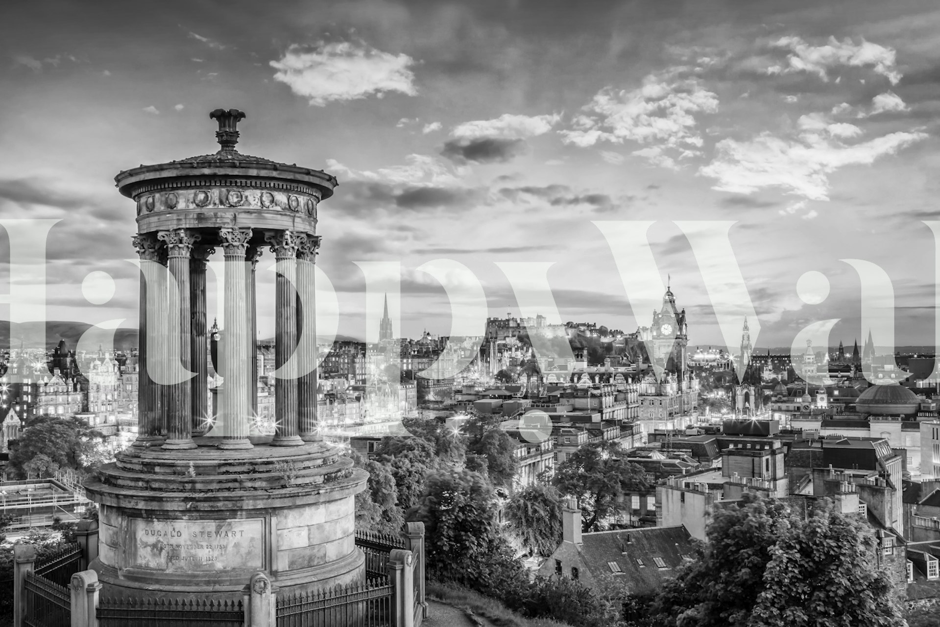 Edinburgh skyline in monochrome, featuring historic architecture and evening skyline
