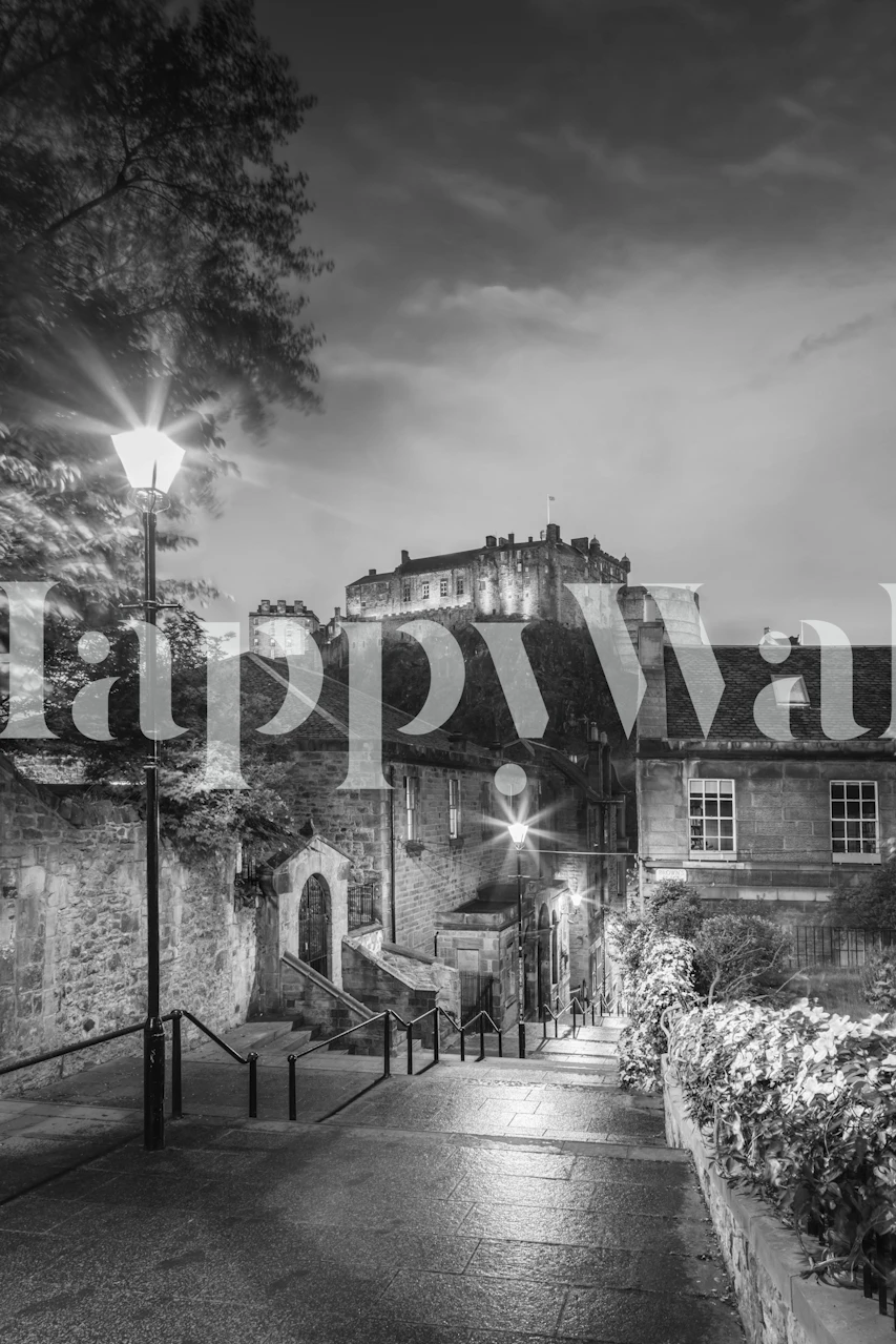 Edinburgh Castle in black and white wallpaper, cityscape