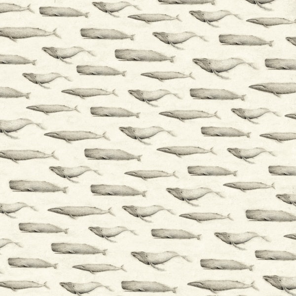 Whales II