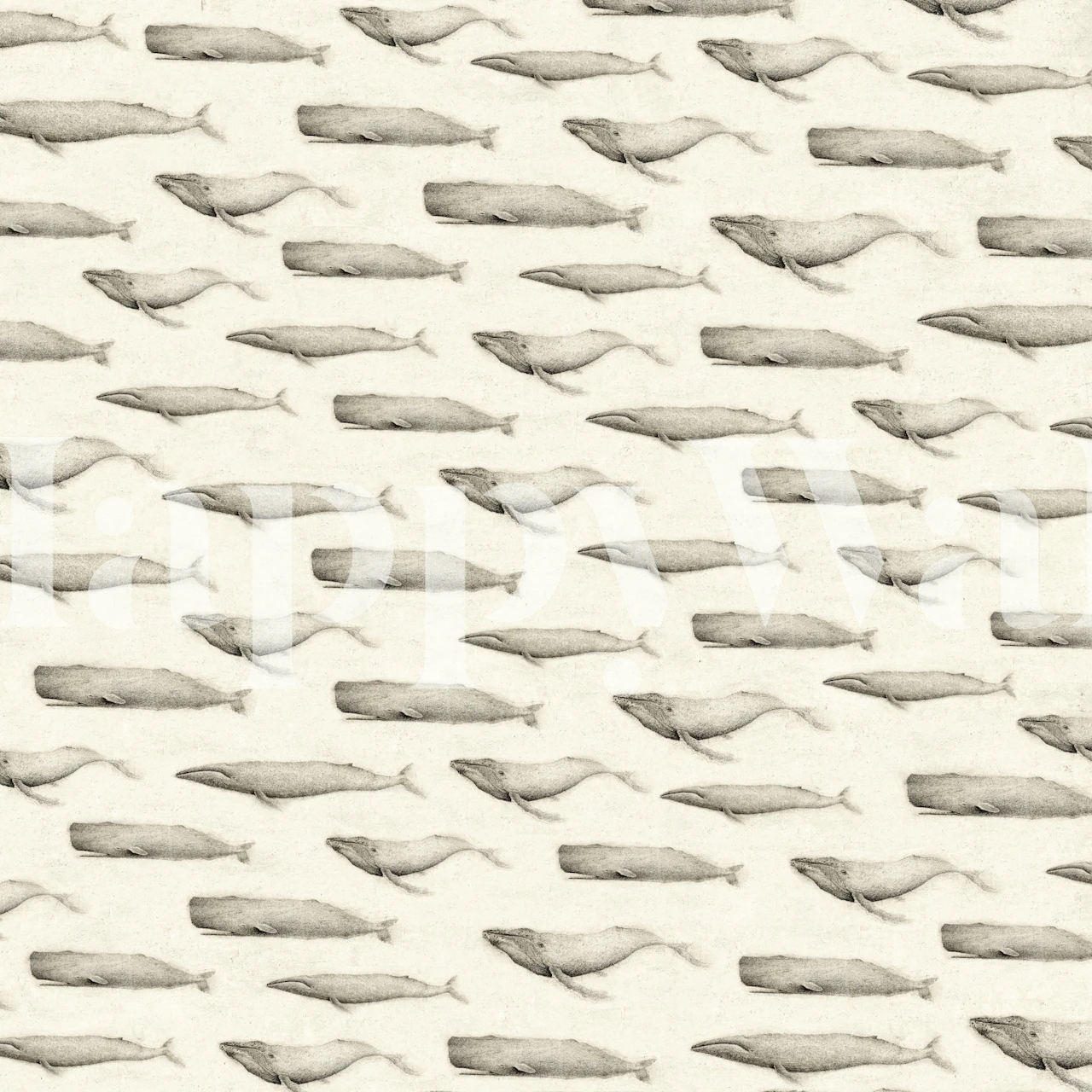 Whales II wallpaper design in a room