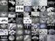 Flower Collage