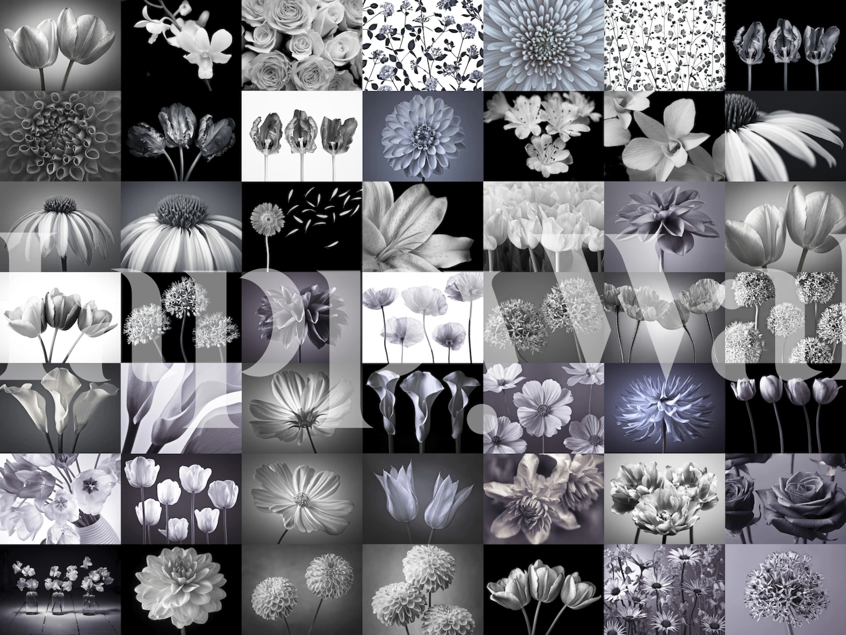 Monochromatic flower collage wall mural featuring a variety of flowers