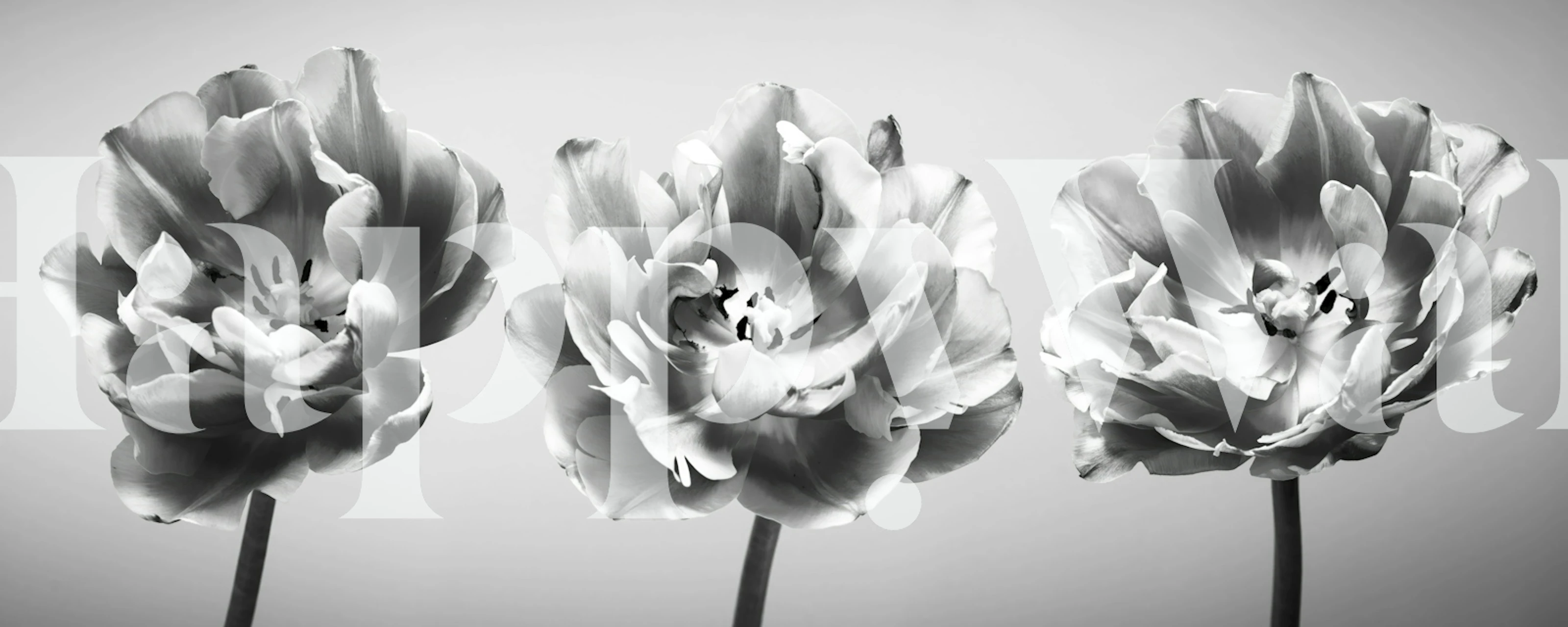 Papier peint mural triptyque tulipes noir et blanc