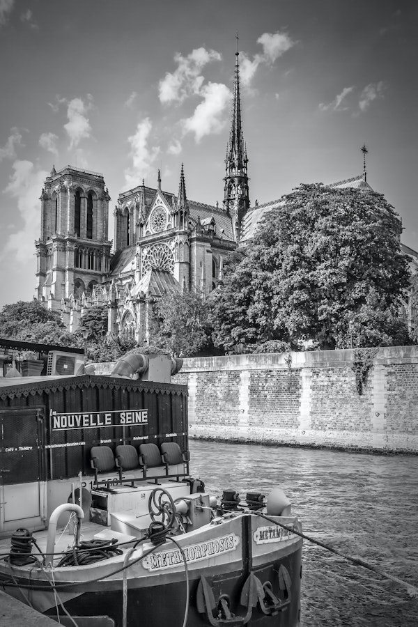 PARIS Cathedral Notre-Dame | monochrome