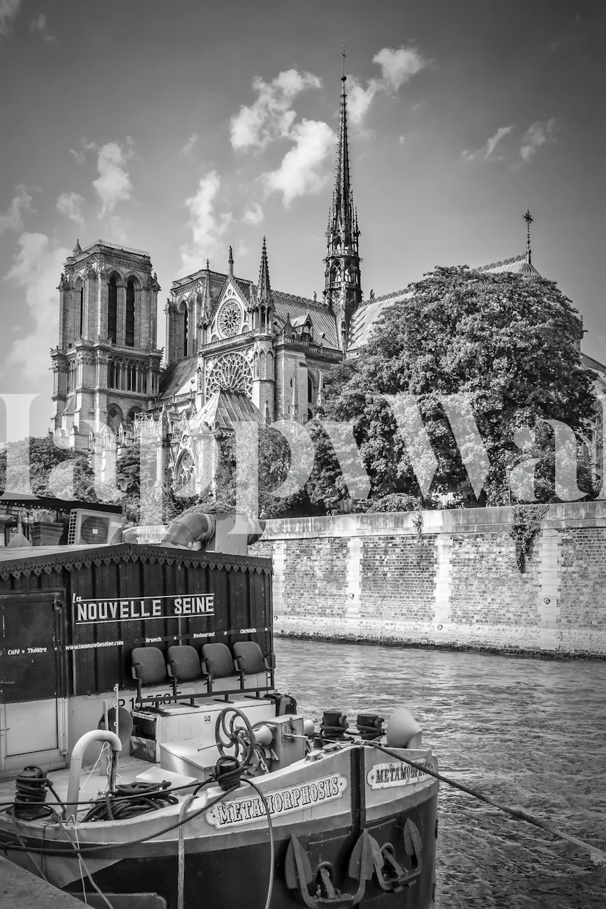 Notre-Dame Cathedral in monochrome with classic architecture wallpaper