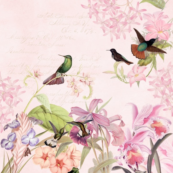 Hummingbird Flower Jungle