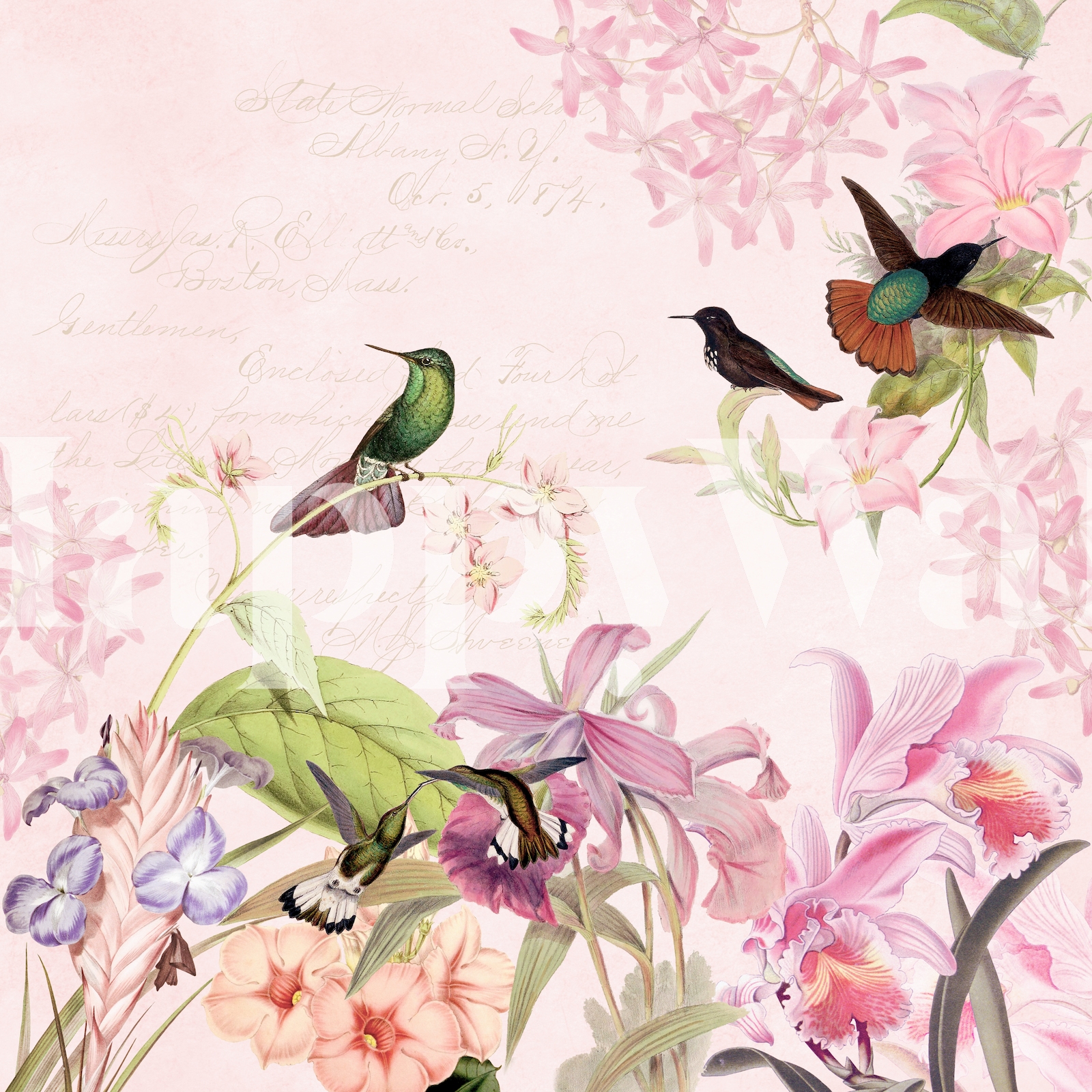 Hummingbird Flower Jungle wallpaper Free shipping Happywall