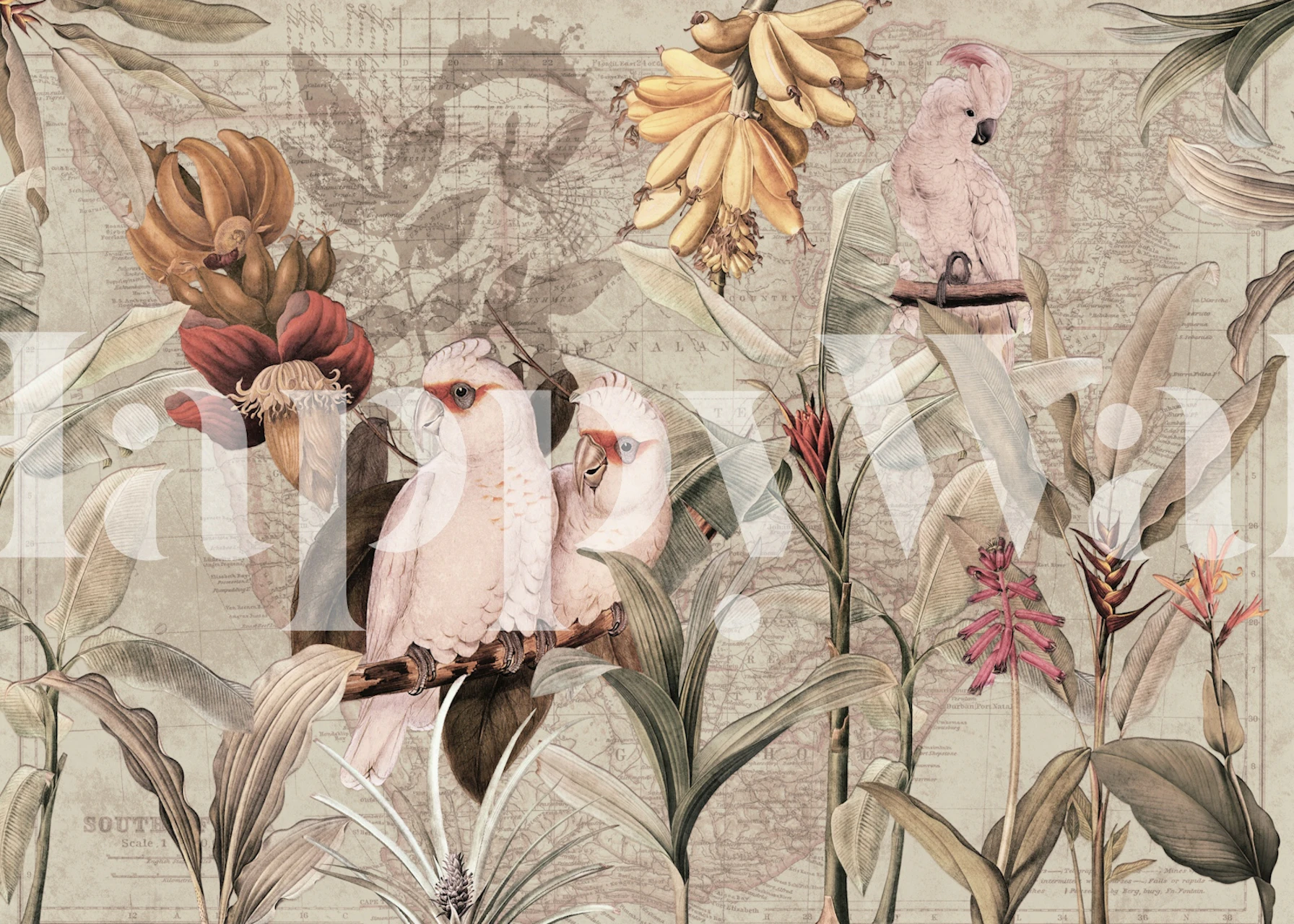 Exotic vintage bird jungle wallpaper in a room