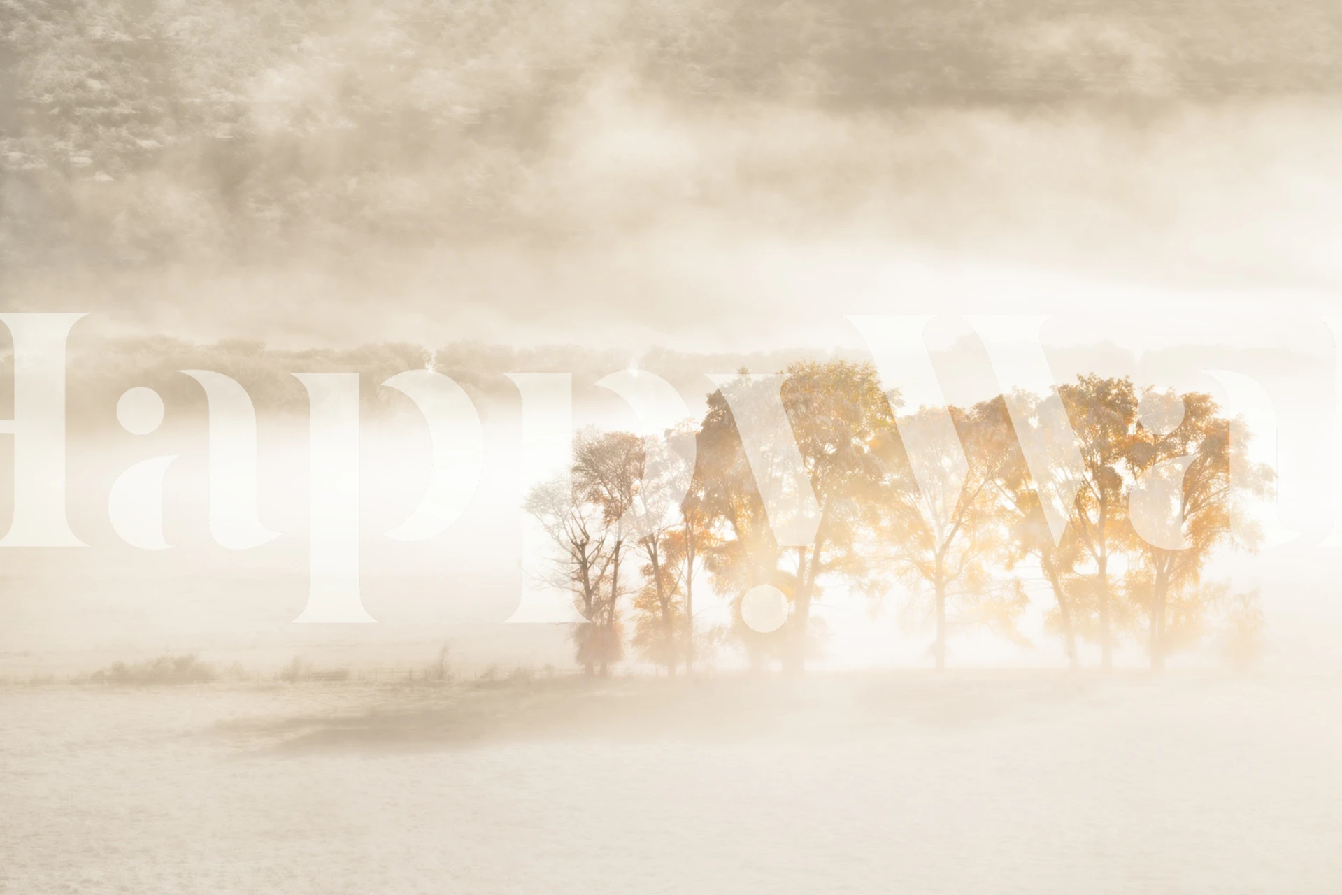 Autumn Dreams wallpaper in a room