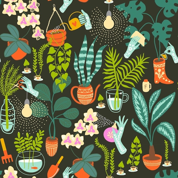 Indoor gardening - green wall