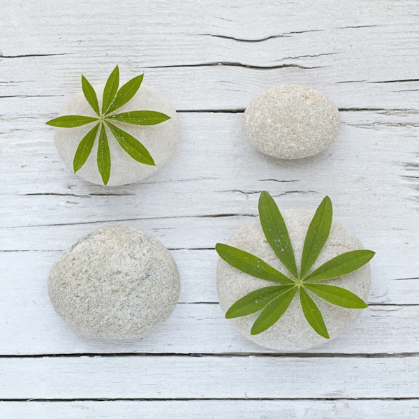 Zen Style Still Life With Pebbles