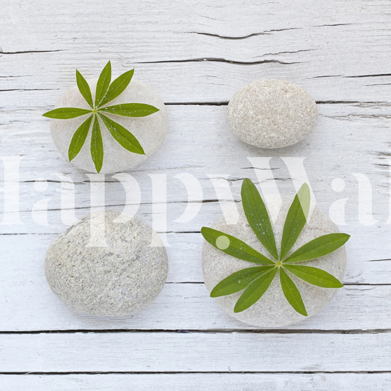 Zen style wallpaper with grey stones and green leaves on a rustic wood background