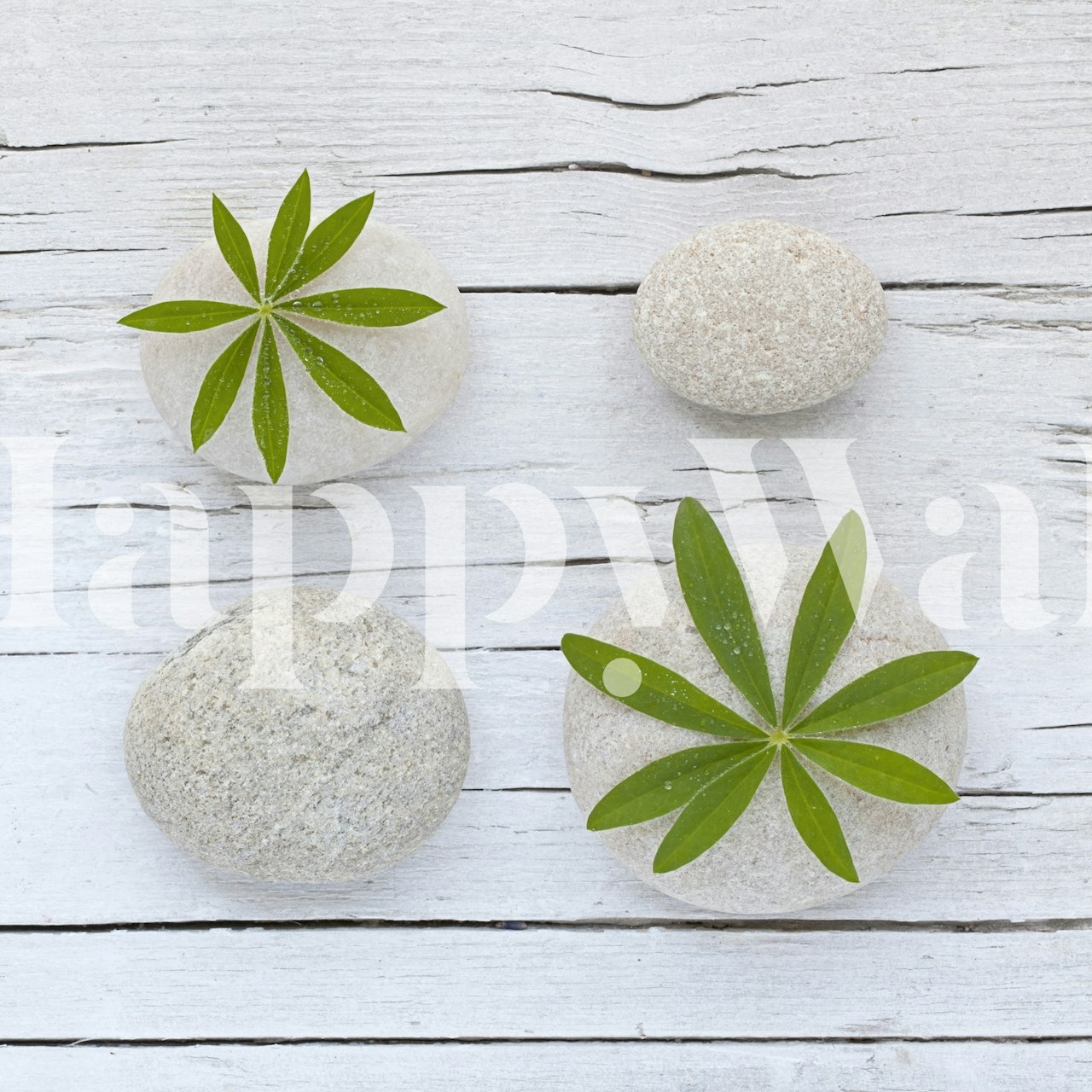 Zen style wallpaper with grey stones and green leaves on a rustic wood background