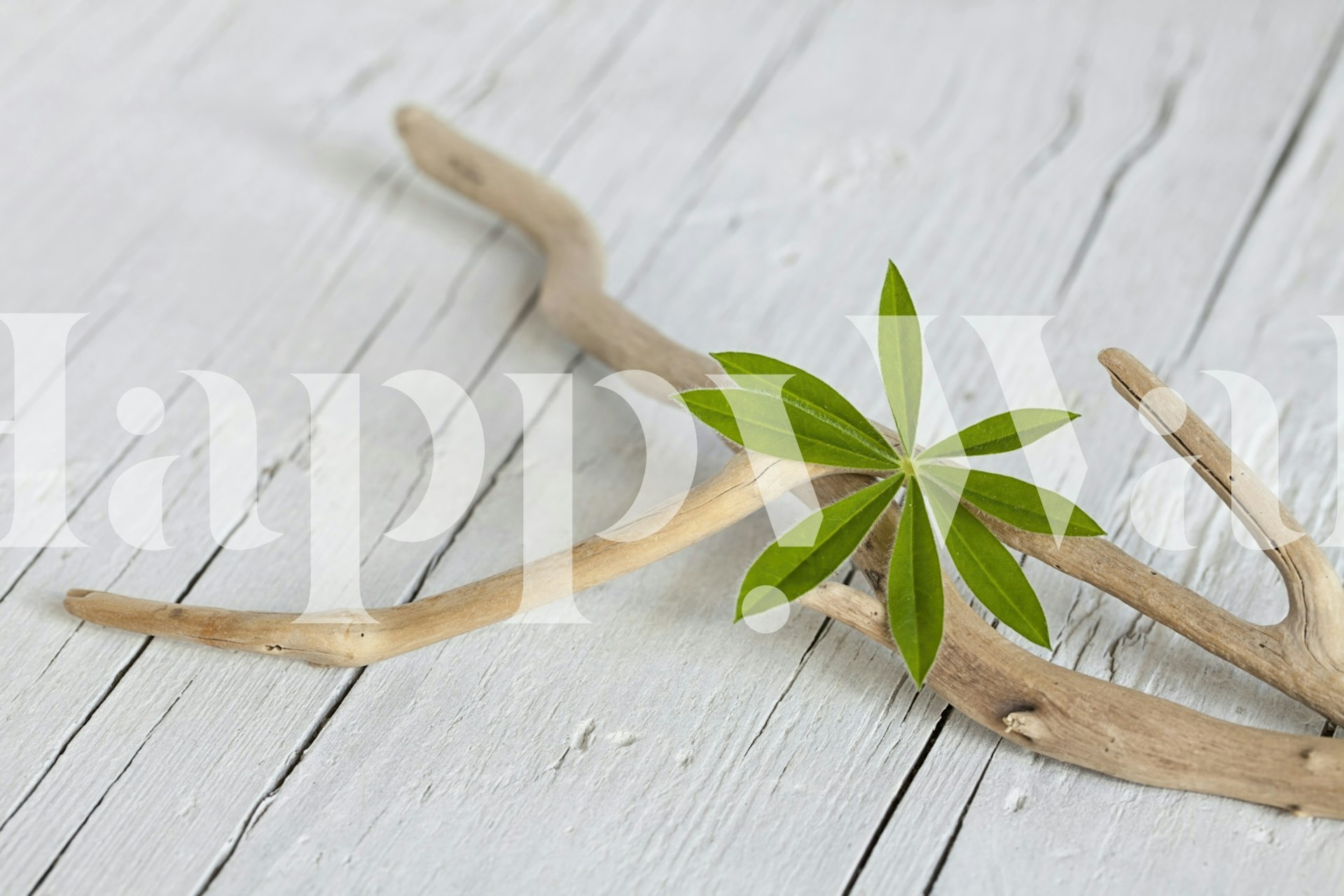 Zen style wallpaper with green leaf and wood