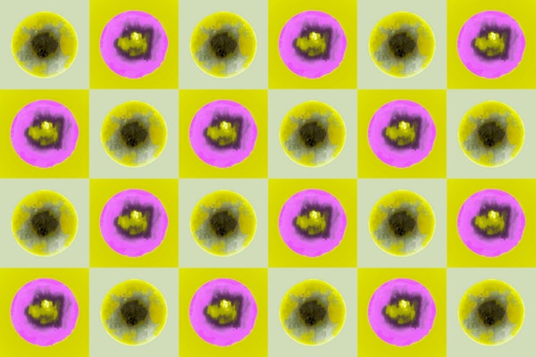 Groovy Pop Art Flowers