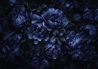 Opulent Flowers Dark Midnight Blue papel de parede