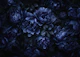 Opulent Flowers Dark Midnight Blue