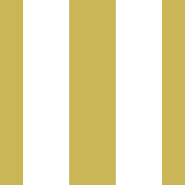 Gold stripes for wallpaper