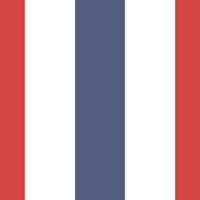 Red white and blue stripes wallpaper ταπετσαρία