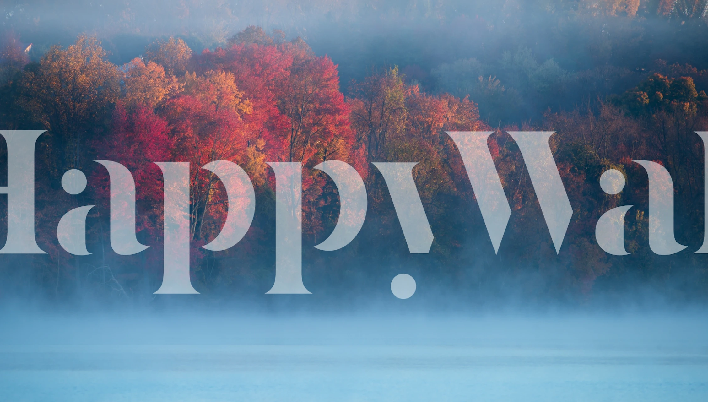 Fall Impression 4 wallpaper in a room