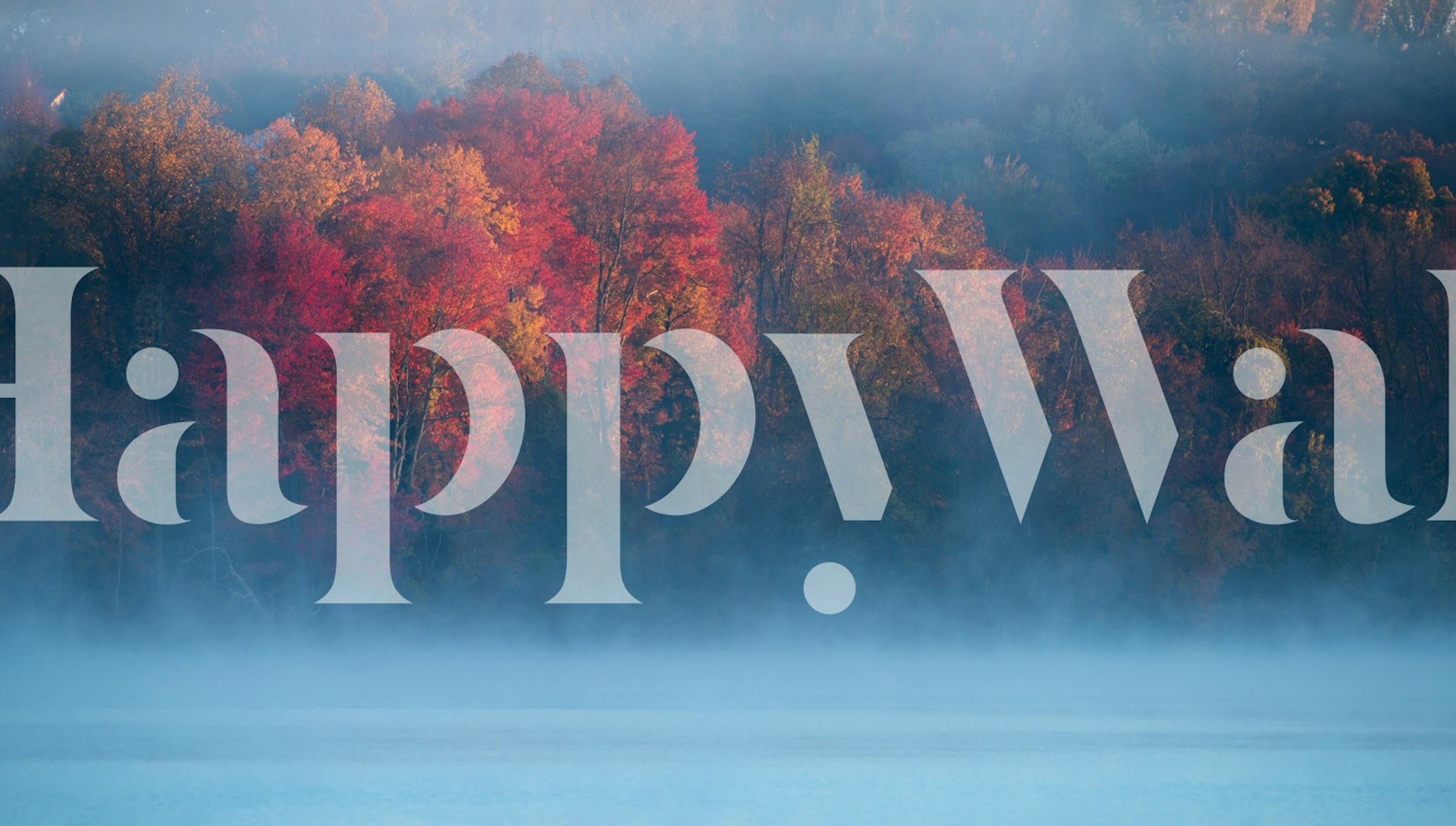 Fall Impression 4 ταπετσαρία σε ένα δωμάτιο