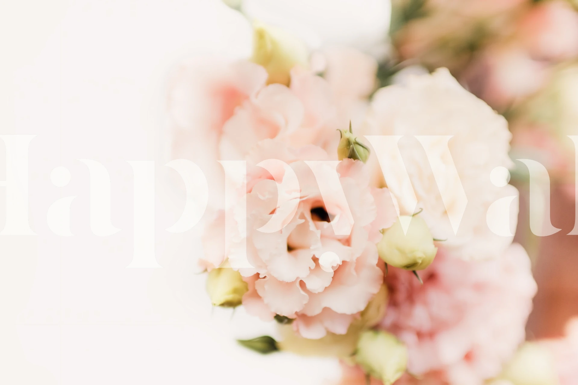 Pastel pink and white flower wall mural for home decor